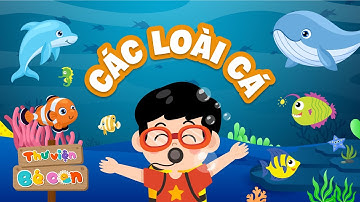 Con gì đây? Khám phá các loài cá | Đại Dương Của Bé | Dạy trẻ thông minh sớm | Song ngữ  Việt - Anh