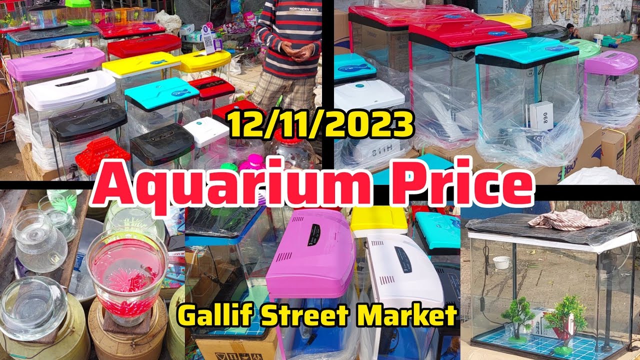 Recent Aquarium Tank Price Update Gallif Street Fish Market Kolkata