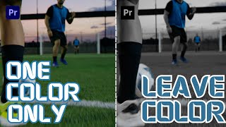 Premiere Pro Tutorial -Leave Color Editing for Stunning Visuals! 🎬