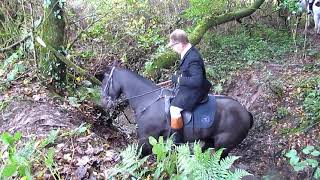 Suir Vale Harriers Hunt Drombane October 31st 2021