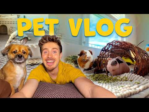 Life w/ 13 Pets! ✨ DAILY PET VLOG thumbnail