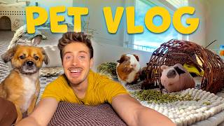 Life w/ 13 Pets! ✨ DAILY PET VLOG