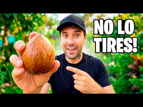 It's Pure GOLD and You're THROWING It Away! 🥑 3 Incredible Hacks for Your Garden and Plants