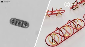 Microrobots Can - and will - Change the Field of Medicine in the Near Future