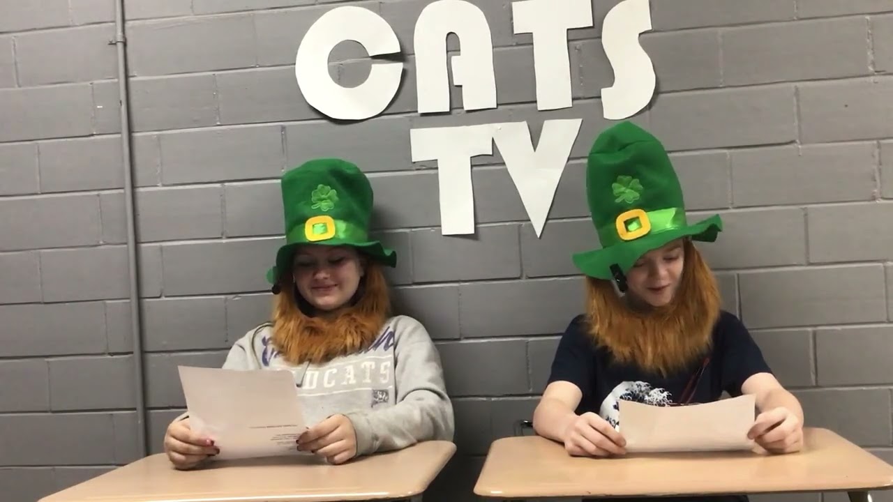 Cats TV 3.9