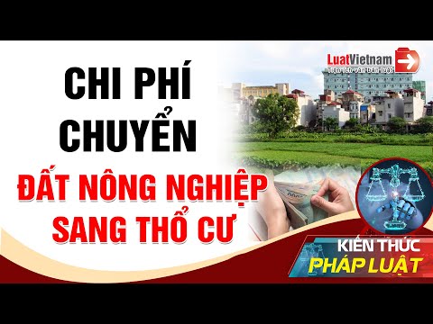 Video: Đây là bao nhiêu nhà đắt nhất để bán trong chi phí Nashville