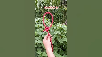 #31 Tôi yêu nút thắt này? Nút thắt thực tế bạn cần phải biết #knot #diy #handmade #tutorial