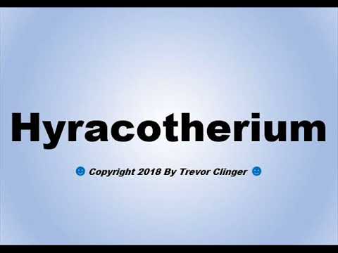 Vídeo: Como se diz hyracotherium?