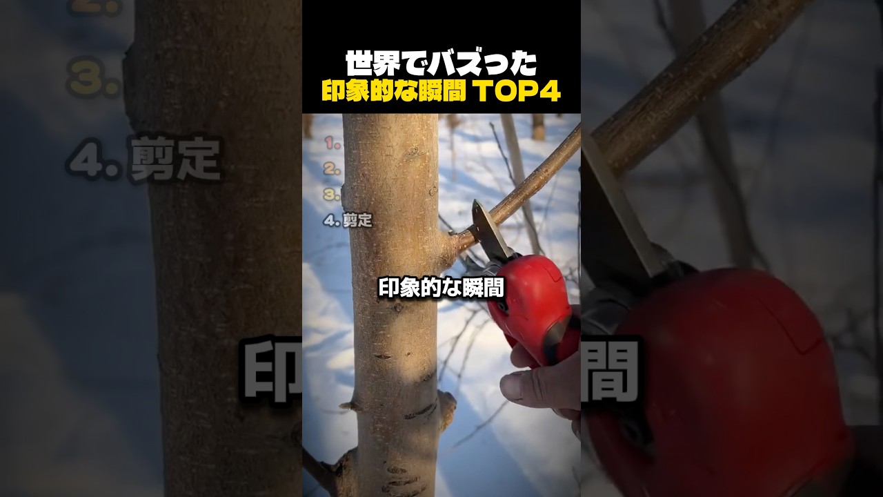 世界でバズった印象的な瞬間
