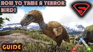 Ark How To Tame A Terror Bird 2020 - Everything You Need To Know About Taming A Terror Bird