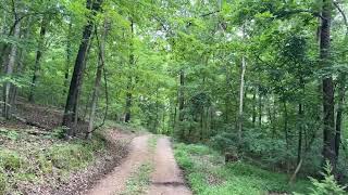 258. Sasquatch activity and audio 