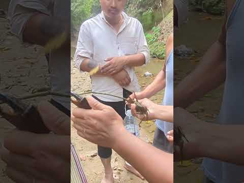 Hachwk ni Khangrai #food #nature
