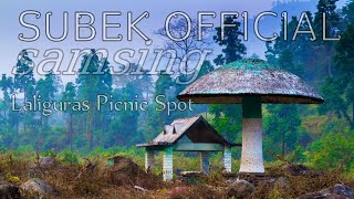 subek vlags official The Beauty of samsing...sing tea garden#b logs#yotube