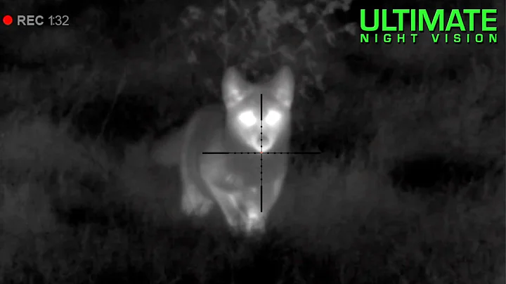 Thermal Predator Hunting | 45 Coyotes Down with th...