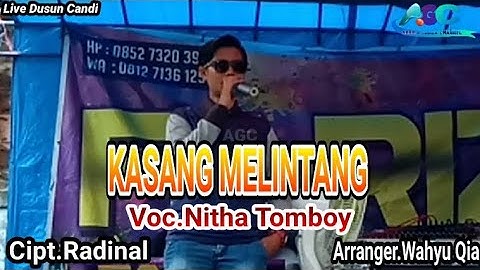 Lagu Daerah Jambi ~ KASANG MeELINTANG ~ Voc.Nitha Tomboy ~ Fariz Music ~ @arrojigardachannel