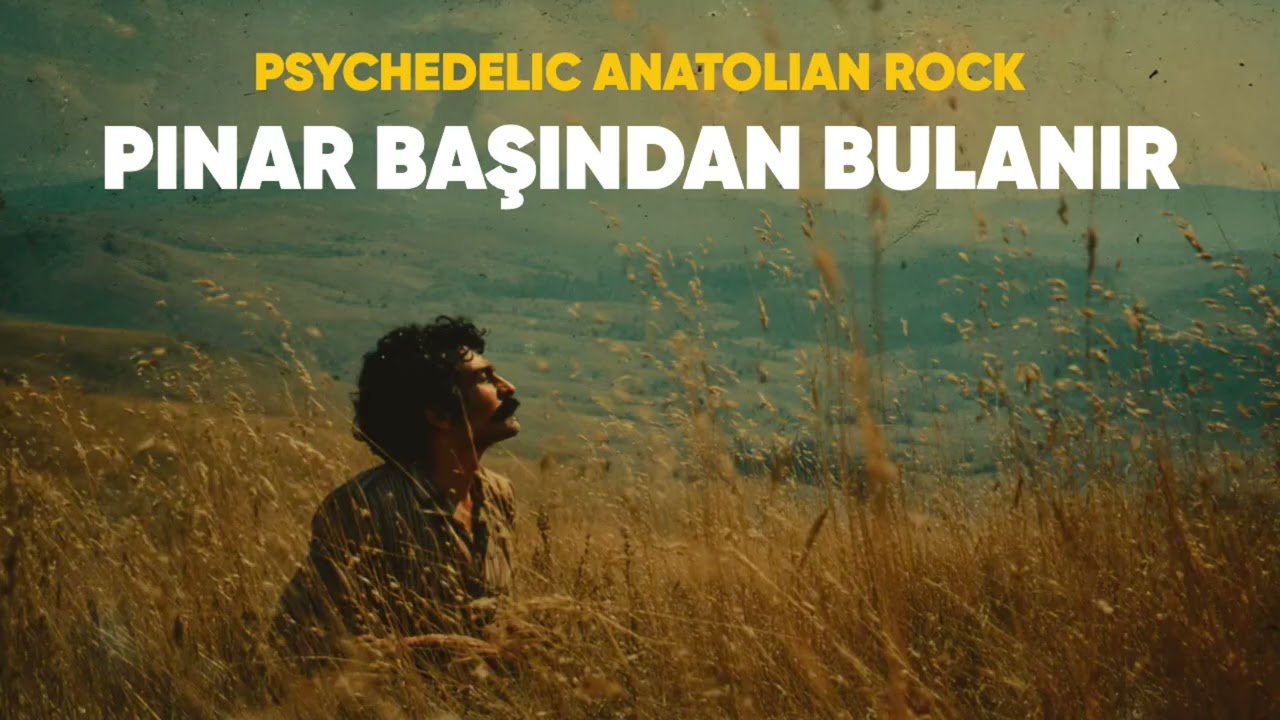 ⁣Pınar Başından Bulanır | Psychedelic Anatolian Rock Cover