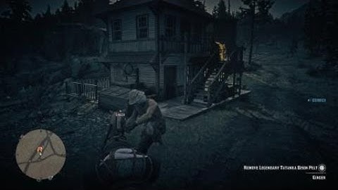 Shortest long distance delivery ever, Emerald Ranch to Riggs Station. Red Dead Redemption 2