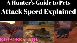 A Hunter's Guide to Pets : Attack Speed | PvE, PvP, Misconceptions, Classic WoW Tutorial