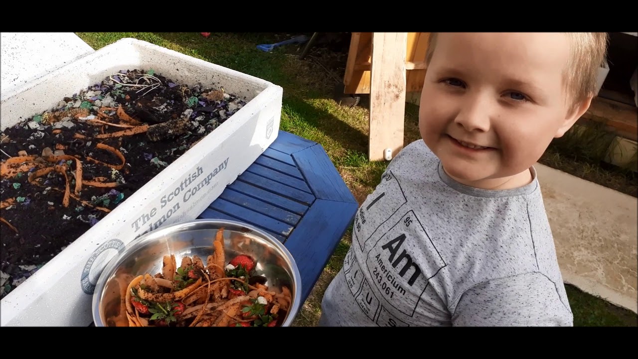 Belfast Worm Farm April Update YouTube