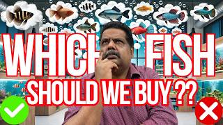 Which is BEST FISH to BUY For My FISH TANK ? AQUARIUM FISH FAQ screenshot 1