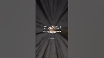 (شَهْرُ رَمَضَانَ الَّذِي أُنْزِلَ فِيهِ الْقُرْانُ..) تلاوة خاشعة للقارئ الشيخ ماهر المعيقلي 💐