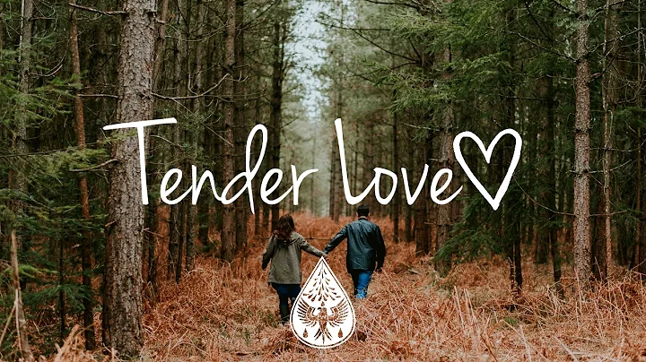 Tender Love  - An Indie/Folk/Pop Playlist | Vol. 1