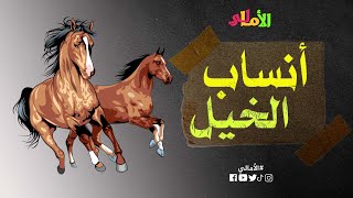 الأمالي، الموسم 2، الحلقة 13: أنساب الخيل وبعض أخبارها