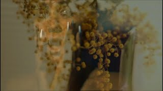 Jesse Jo Stark - Deadly Doll (Visual)