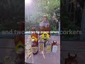 2025 Repurposing Antique Bottles As Halloween Decor #Halloween