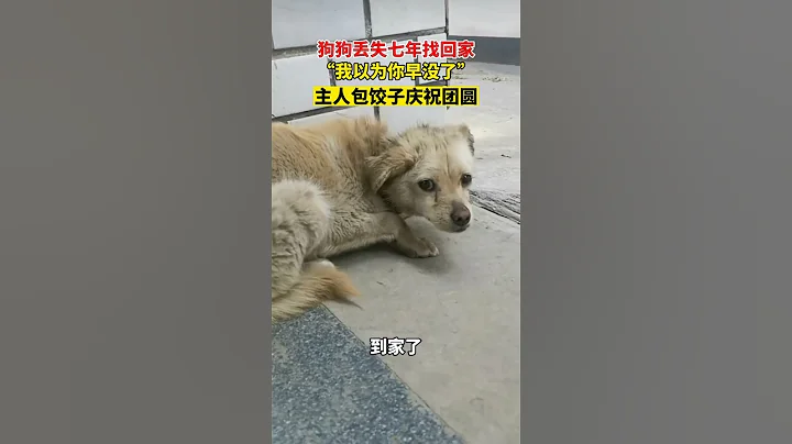#狗狗丟失七年找回家，這一幕讓人動容！！ #萌寵 #感動瞬間 - 天天要聞