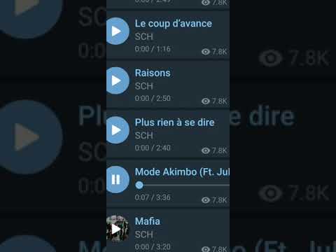 sch mode akimbo