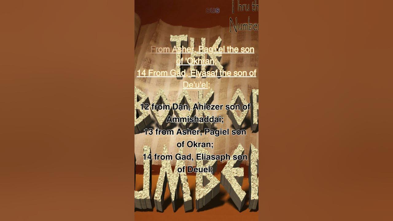 Numbers 1 12 16 cjb niv the census youtube