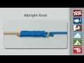 How to tie an albright knot   fishing knots