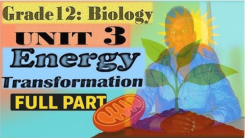 Energy Transformation (FULL LESSON)