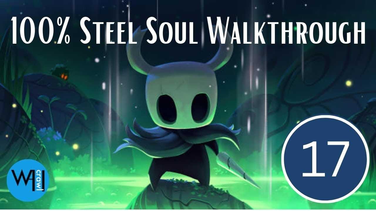 17 / Soul Sanctum Desolate Dive / Hollow Knight Steel Soul
