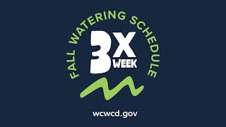 Water 3X a week