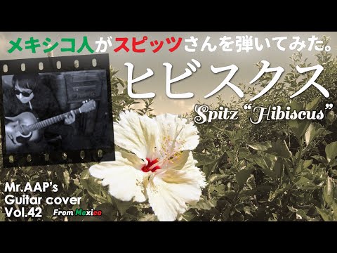 Hibiscus - Spitz  (Japanese Pop Music) Guitar Cover by Mexican