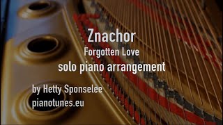 'Znachor' (Forgotten Love) - Pawel Lucewicz , PianoTunes.eu