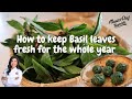 How to keep basil leaves fresh for the whole year/ Thai Basil leaves/Holy Basil leaves