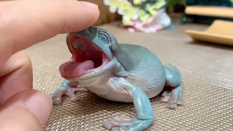 かえるのピョンタ