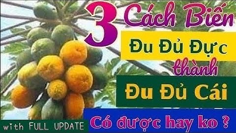 Ba Cách Biến Cây Đu Đủ Đực Thành Cây Đu Đủ Cái, có được hay ko ? (with full UPDATES)ở Houston, Texas