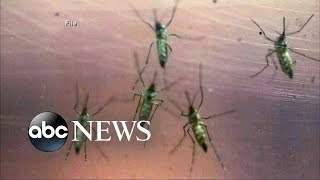 Zika Mystery: Elderly Patient Transmits Virus to Caregiver Zika Mystery: Elderly Patient Transmits Virus to Caregiver