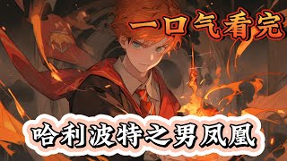 一口气看完系列《哈利波特之男凤凰》巫师的才能本应该光明于世,而不是隐藏于角落阴影,我们的未来必然是属于那片纯洁的星空!#哈利波特#有声漫画#爽文#无敌#穿越
