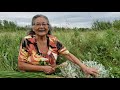 Picking Sage & Sweet Grass in Onion Lake Cree Nation with Yvonne Carter.