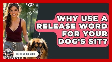 Why Use A Release Word For Your Dog