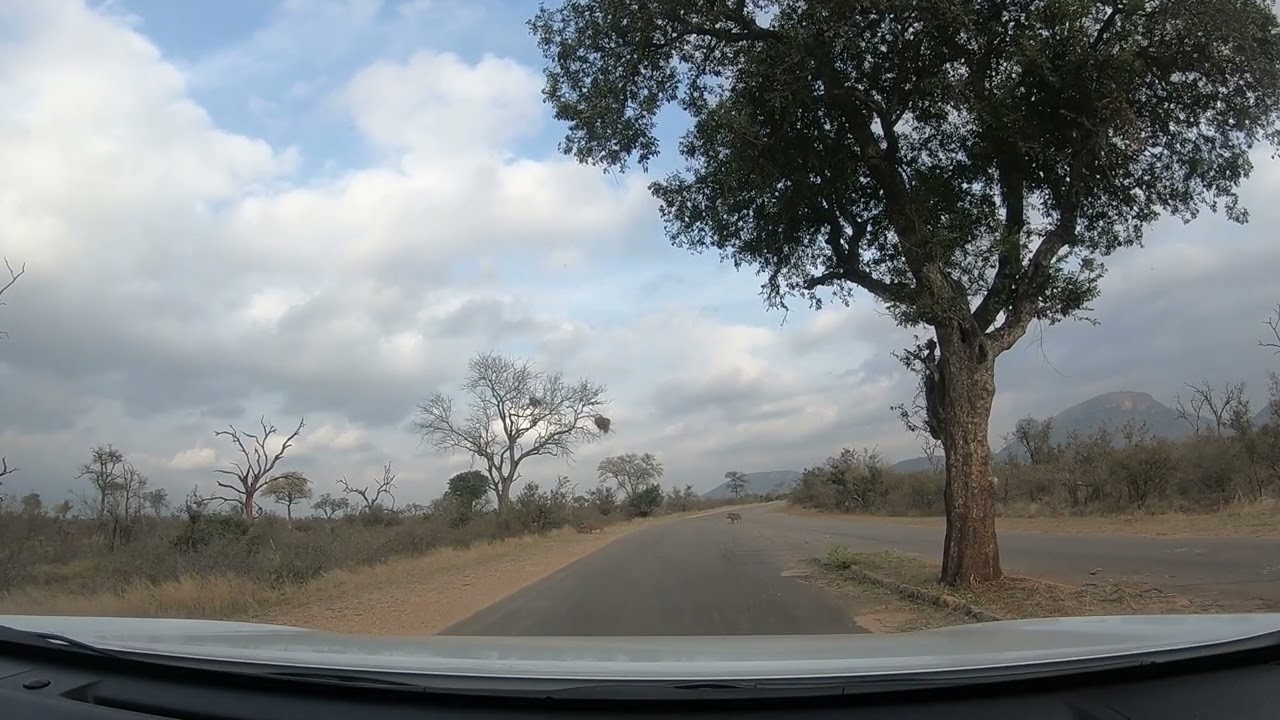 Journey Through South Africa A Road Trip Experience