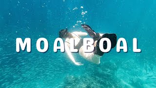 MOALBOAL | Kawasan Canyoneering, Sardine Run, Turtles, Beaches & Nightlife | Couple Backpacking