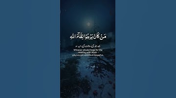 سورة العنكبوت ايه ٤-٥ تلاوة خاشعة