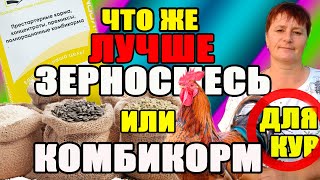 Так что же лучше для кур ЗЕРНОСМЕСЬ или КОМБИКОРМ. Как получить полезное и вкусное мясо и яйцо.