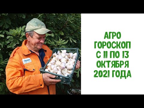 Video: Мөмө өсүмдүктөрүн отургузуу. 2 бөлүк